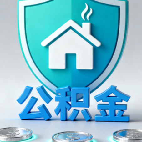 九江公积金代办行业观察：谁在提供专业服务？